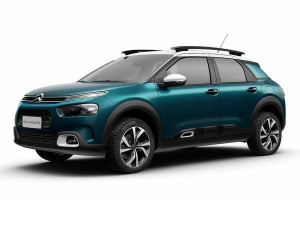 C4 Cactus