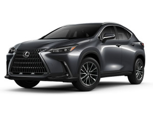 NX