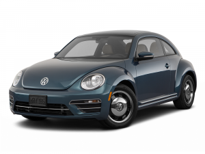 Beetle