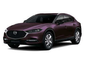 CX-4